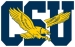 View The CSU : Coppin State University Eagles Product Showcase