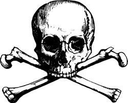 View All Skull & Bones Product Listings