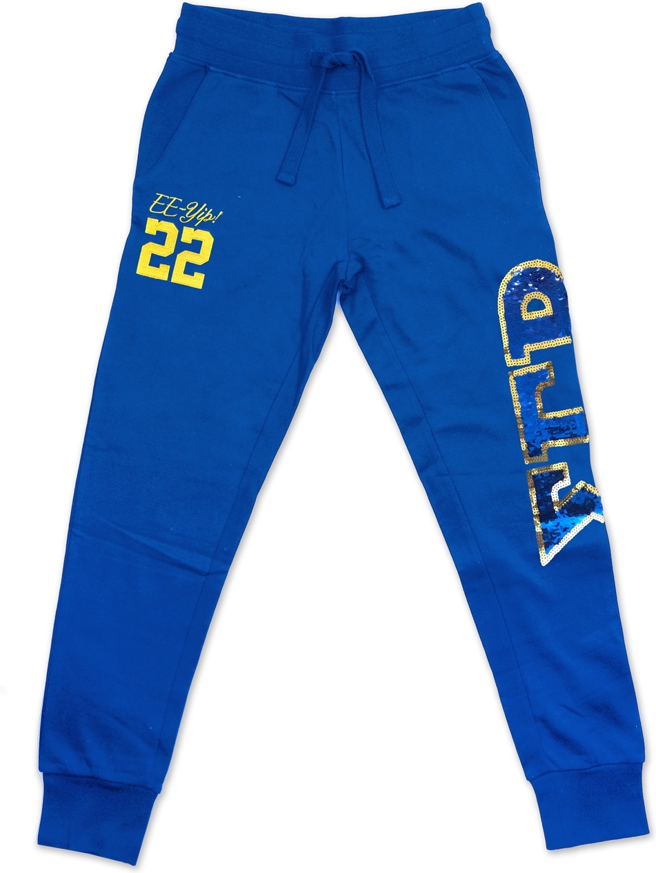 BIG BOY SIGMA Gamma Rho Divine 9 Sequin Womens Jogger Sweatpants $52.25 ...