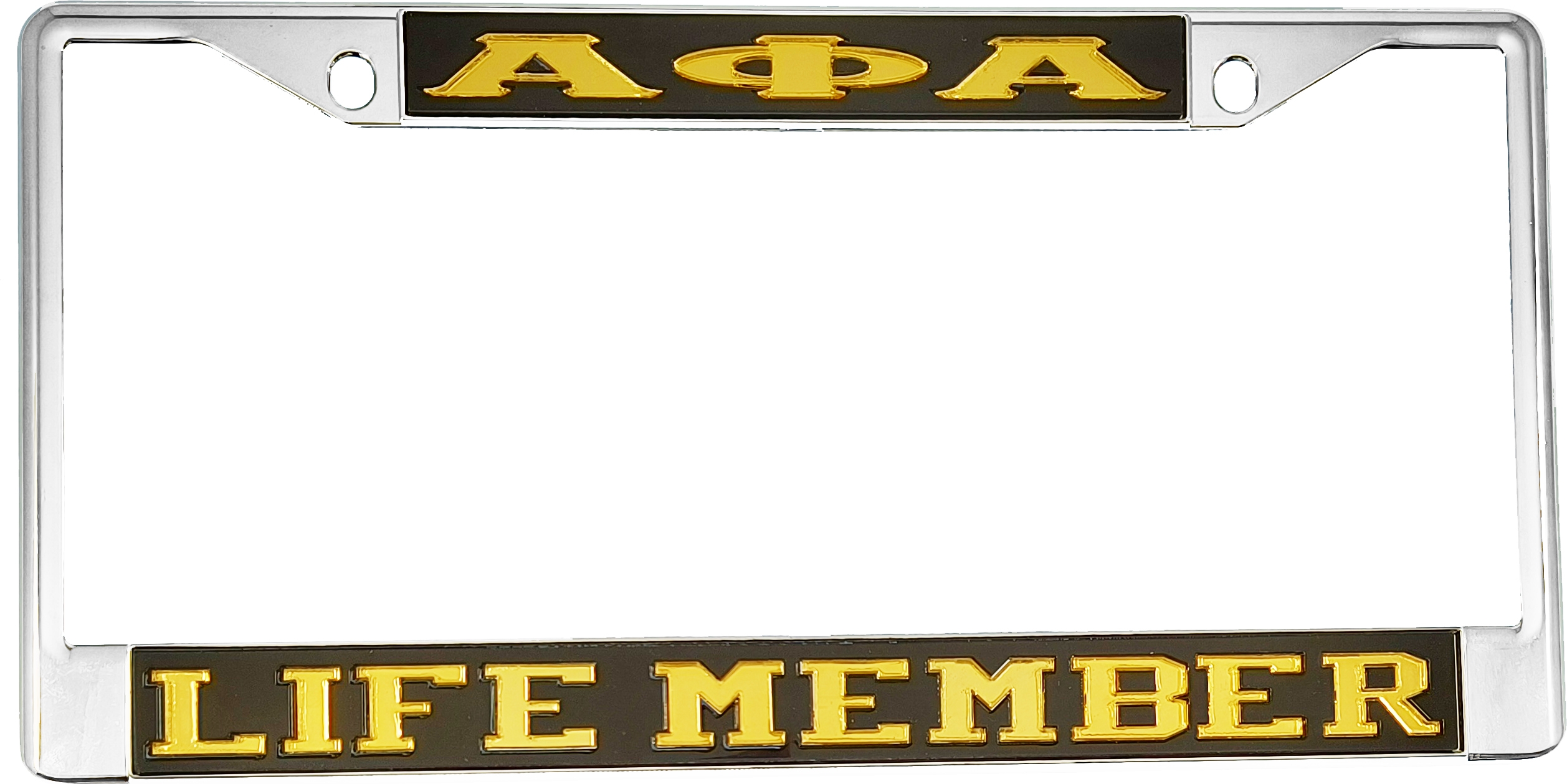 alpha phi alpha life member