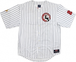 View Product Detials For The Big Boy Negro League Baseball All-Team Commemorative S4 Mens Jersey