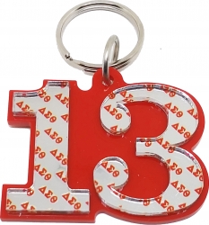 View Buying Options For The Delta Sigma Theta Line #13 Key Chain