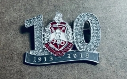 View Buying Options For The Delta Sigma Theta 100 Year Anniversary Stone Lapel Pin