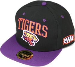View Buying Options For The Big Boy Edward Waters Tigers S144 Mens Snapback Cap