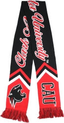 View Buying Options For The Big Boy Clark Atlanta Panthers S8 Scarf