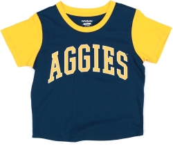 View Buying Options For The Big Boy North Carolina A&T Aggies S5 Womens Cropped Tee