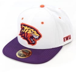 View Buying Options For The Big Boy Edward Waters Tigers S145 Mens Snapback Cap