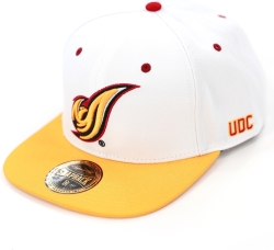 View Buying Options For The Big Boy District Of Columbia Firebirds S145 Mens Snapback Cap