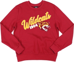 View Buying Options For The Big Boy Bethune-Cookman Wildcats S5 Mens Crewneck Sweatshirt