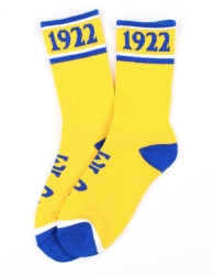 View Buying Options For The Big Boy Sigma Gamma Rho Divine 9 S5 Athletic Socks